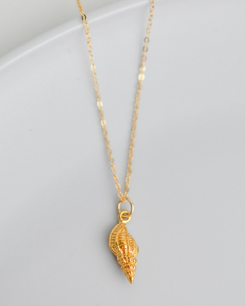 Seashell Necklace